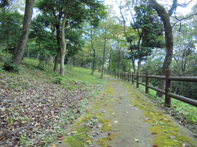 弥生の森の遊歩道