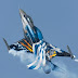 Χοντρό χουνέρι σε Τούρκο πιλότο σε αερομαχία με ελληνικά F-16! Τον άφησαν να φύγει οι Έλληνες πιλότοι διαφορετικά θα έμενε από καύσιμα πάνω από τη θάλασσα!