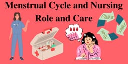 Menstrual Cycle and Nursing Role and Care