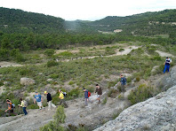 Baixant al Pla del Molí