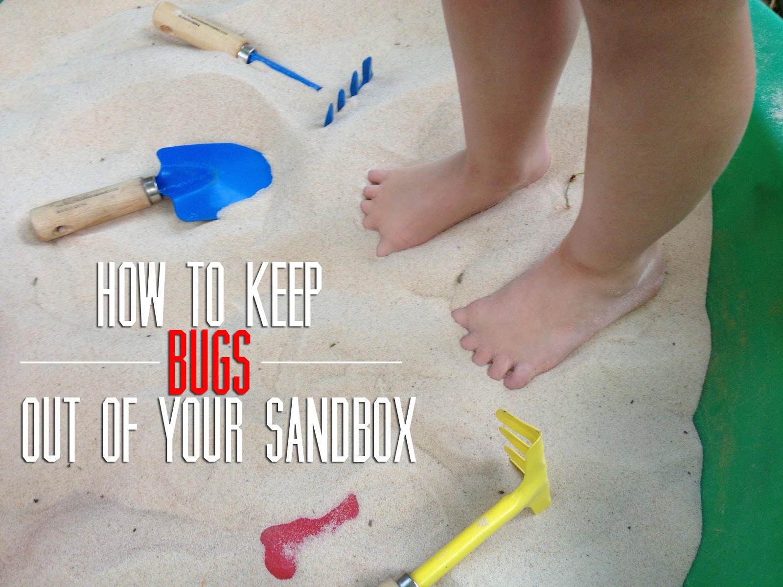 How To Keep Bugs Away From Your Sandbox | Apps Directories