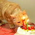 Letter from Amerikat: Birthday Bits 'n Bobs
