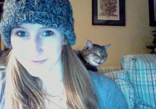 
Photobombs Should Be Renamed Into Photocats (25 pics).