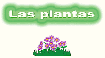 http://www.aitanatp.com/nivel5/plantas/index.htm