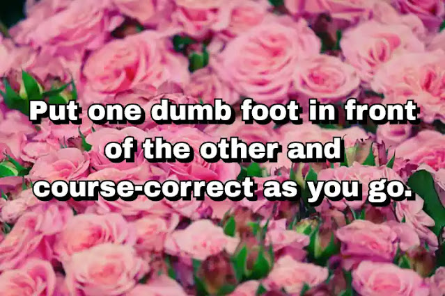 "Put one dumb foot in front of the other and course-correct as you go." ~ Barry Diller