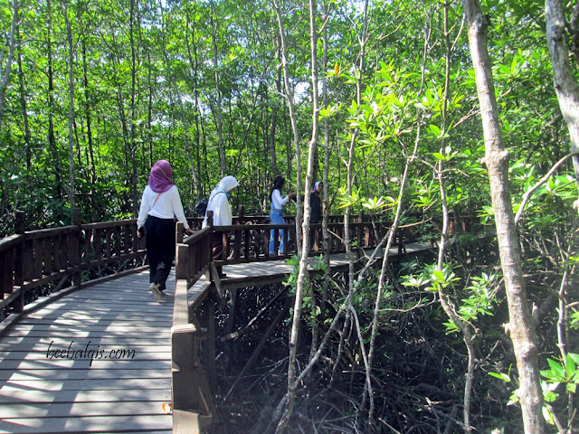 Taman Wisata Mangrove Sukadana