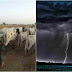 SHOCKING!! THUNDER Strike Kills 23 COWS In Ekiti