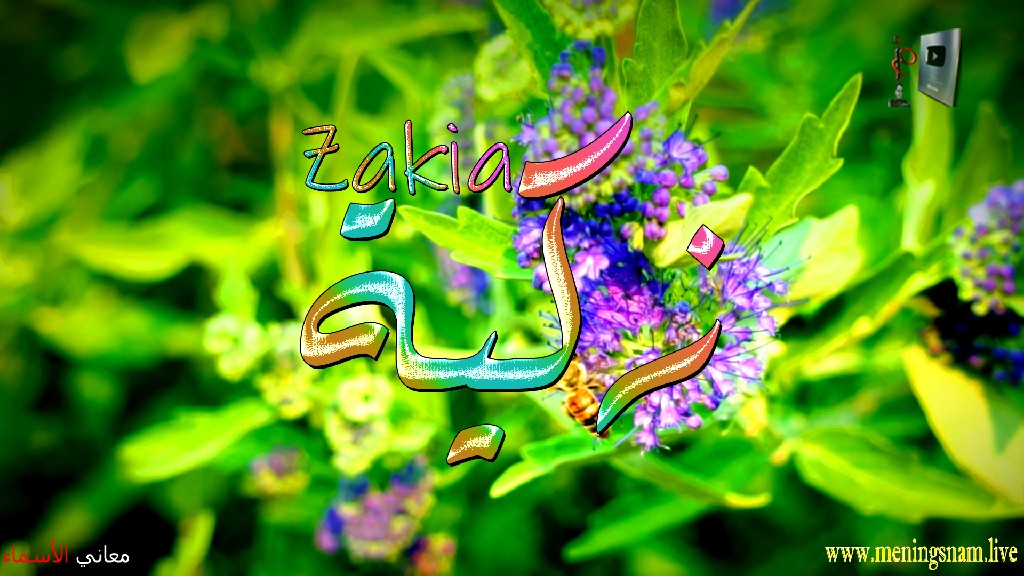 معنى اسم, زكية, وصفات, حاملة, هذا الاسم, Zakia,