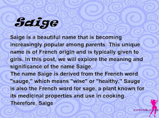 meaning of the name "Saige"