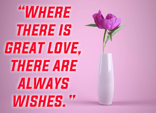 Happy Valentine's Day 2020 - Images - Quotes - Cards - Wishes - HD wallpapers