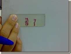 histology slide view (5)_thumb