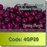 4GP20 copy