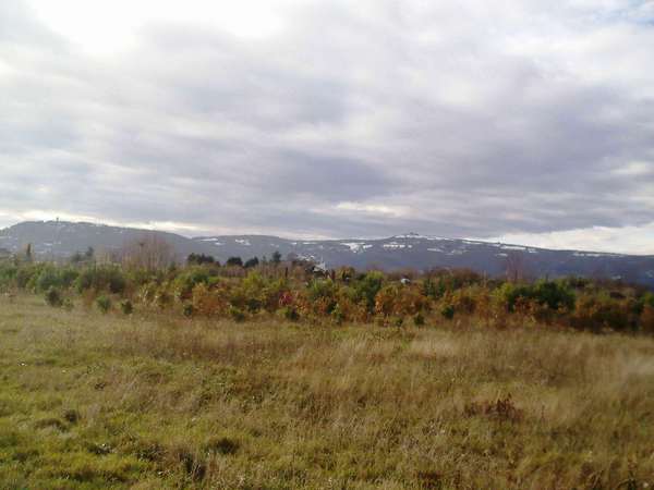 les monts d'or enneigés