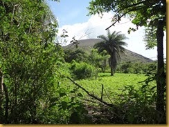 DSC01396