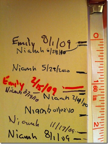 niamh growth