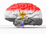 غسيل مخ..........دماغ مصريه