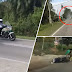 (Video) 'Gila budak ni!' - Padah cuba lari dari polis trafik, penunggang motosikal melambung sebelum jatuh terseret