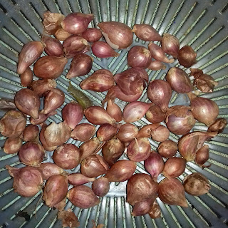 Manfaat bawang merah