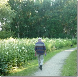 34 banks of meadowsweet