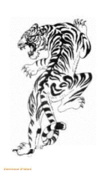 Women tiger tattoos Tiger Tattoo Gallery