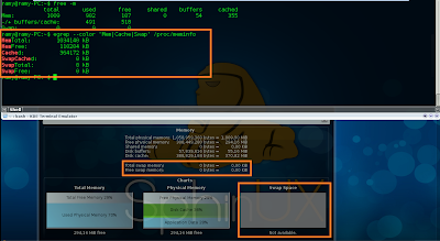 Swap Memory in Linux and SphinUX OS