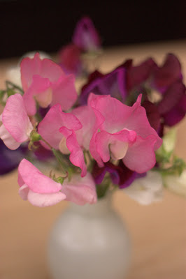 A vase of pink and purple sweet peas