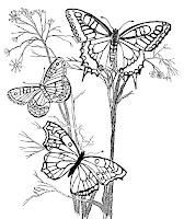 Butterfly Coloring on Butterfly Coloring Pages 5 Gif