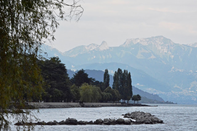 Meer van Geneve, Lac Leman, Zwitserland, Vevey, Lausanne, Lutry, Grandvaux, Wijnterrassen van Lavaux, wijntoerisme, Chasselas, Zwitserse wijnen, fietsen, fietsen in zwitserland, Saint-Saphorin, Château d' Ouchy, Cathédrale Notre-Dame Lausanne,  Zwitserse Rivièra, Musée Olympique Lausanne, olympisch museum lausanne, Brasserie Montbenon Lausanne, 