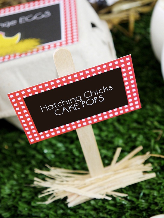 Barnyard Birthday - DIY Dessert Table Signs