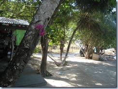 Delaina in Hammock, Noah in Tree