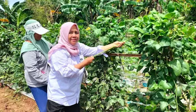 Desa Mekarsari Rajeg Jadi Lokus Rumah Pangan Beragam, Bergizi, Sehat dan Aman Kabupaten Tangerang