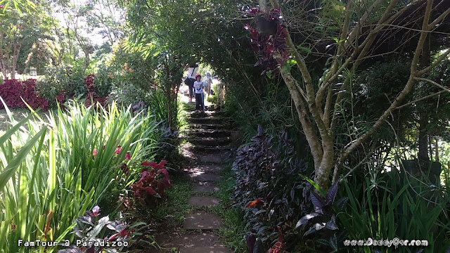 PARADIZOO, Mendez Cavite