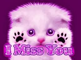 MISS YOU SMS