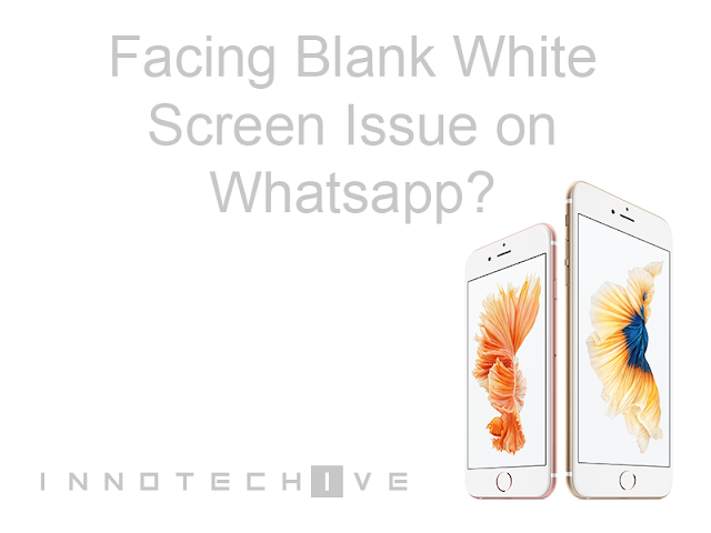 White Screen Whatsapp Issue