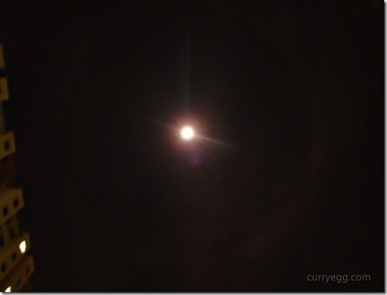 moondogs2