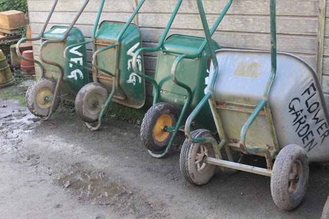 Wheelbarrows lined up ready for action at Heligan