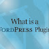 The Most Important WordPress Plugin EVER - Top WordPress Plugins for SEO