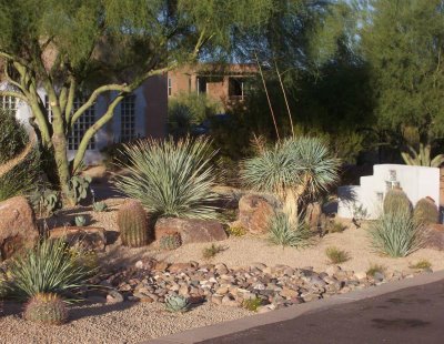 Backyard Desert Landscaping, desert backyard landscape, desert backyard design ideas, backyard desert design, Backyard  Landscaping Ideas, Backyard Landscape Designs, Backyard Design Ideas, desert garden, desert garden ideas, garden desert concept, garden house design