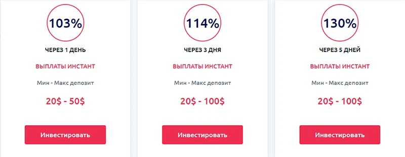 Инвестиционные планы Zerobit IT