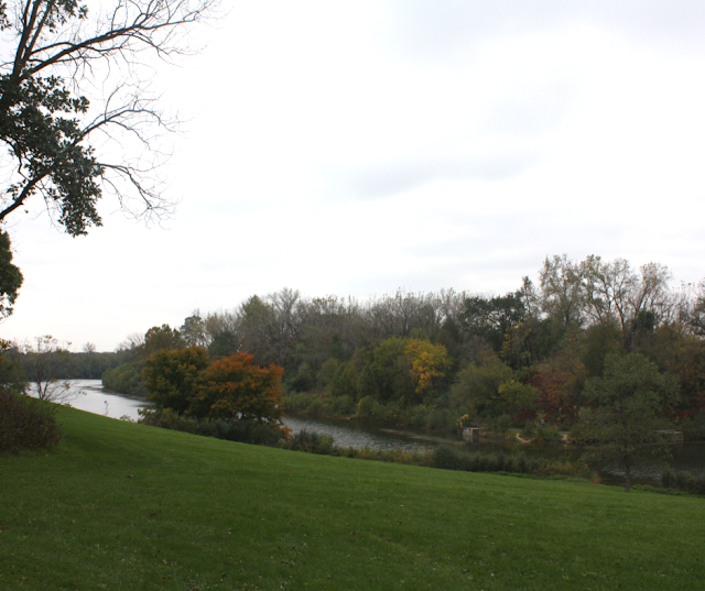 Fall colors popping up just a tad near a brook at Blackwell Forest Preserve in Warrenville, Illinois