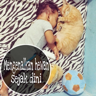 bayi mengenal hewan