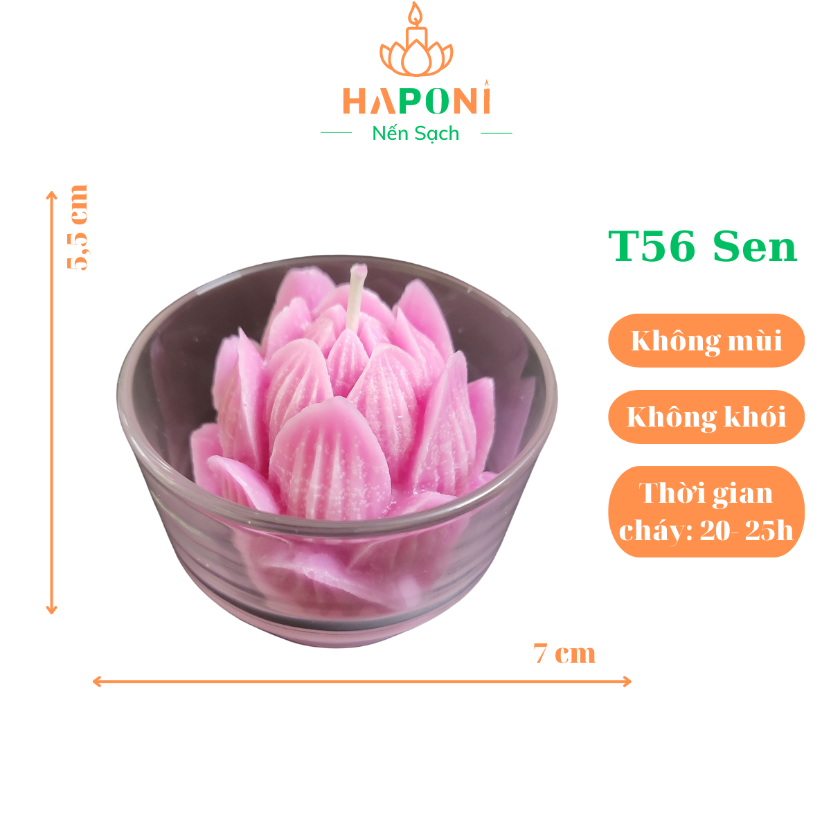 Nến hoa sen HAPONI Candle T56