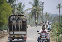 Police without Helmet