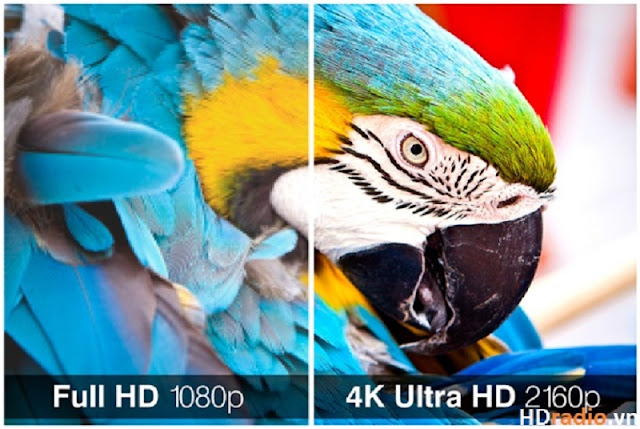Hỗ trợ 4Kx2K Ultra HD với himedia Q10 pro