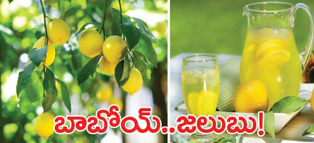 వర్షాకాలంలో నిమ్మకాయ.. తింటే మంచిదేనా? | Lemon in the rainy season .. is it good? | GRANTHANIDHI | MOHANPUBLICATIONS | bhaktipustakalu