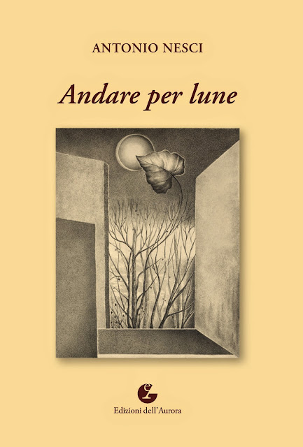 https://books.google.it/books/about/Andare_per_lune.html?id=1iX3ugAACAAJ&redir_esc=y