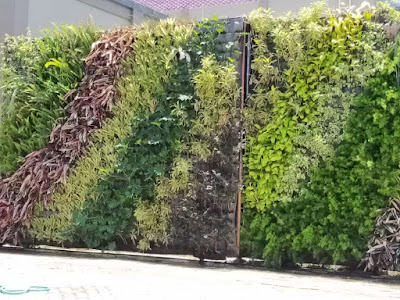 Jasa vertical garden pati