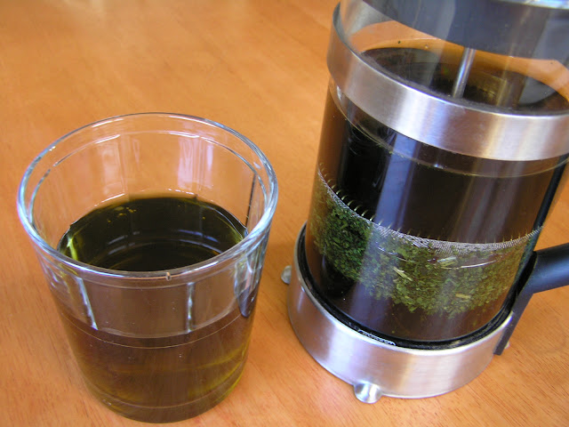 nettle tea