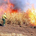  Personal del Cuerpo de Bomberos intervino en varios incendios por quema de pastizales 