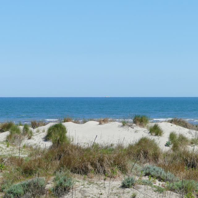 porto caleri passeggiata